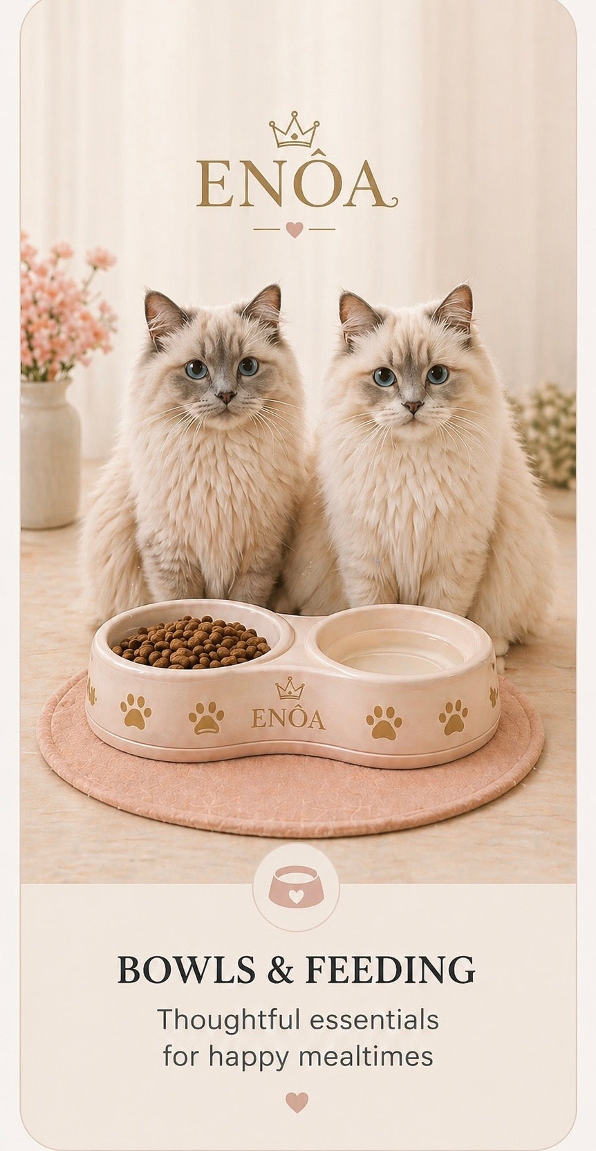 Bowls and Feeding