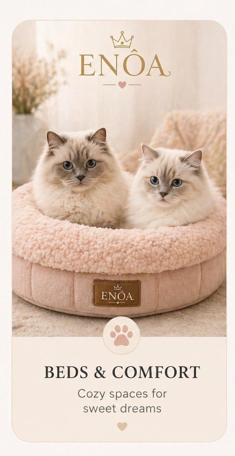 Beds and Comfort